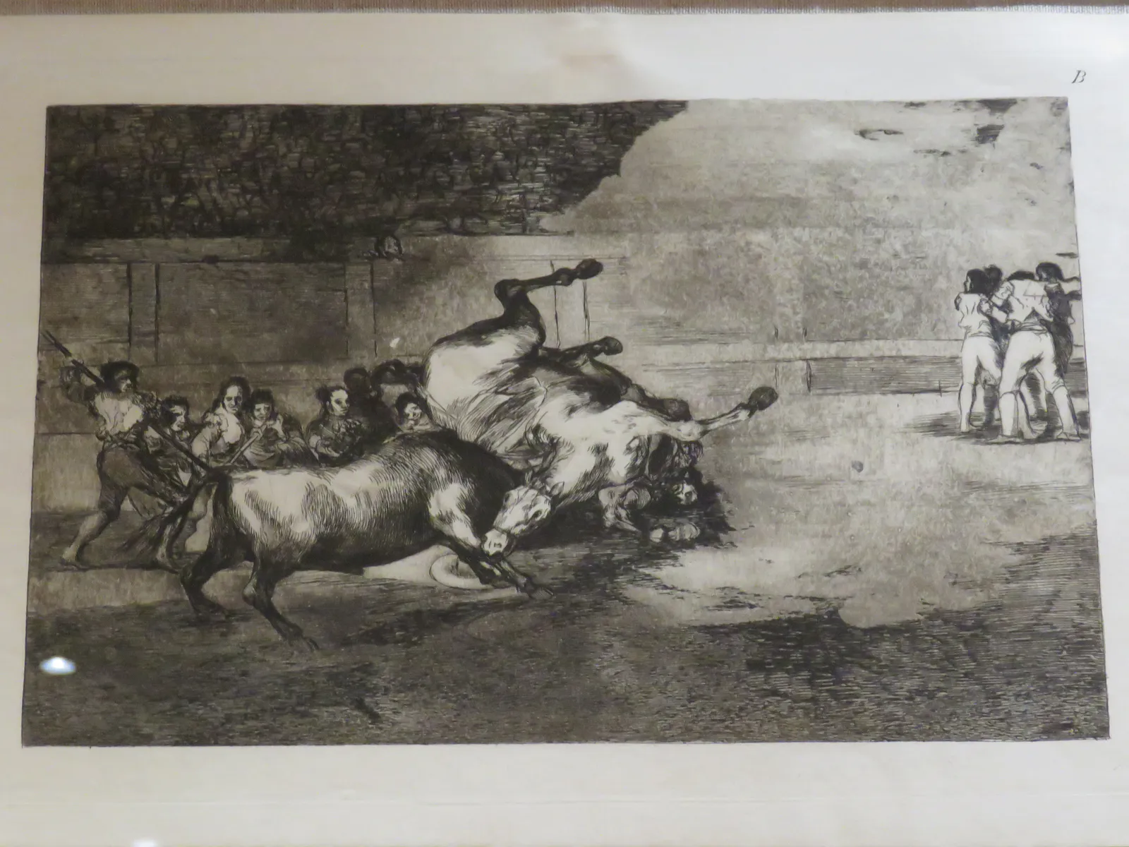 雄牛に投げ出された馬