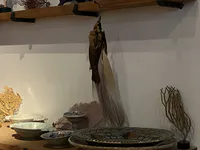 Rembrandt’s Collection of Curiosities