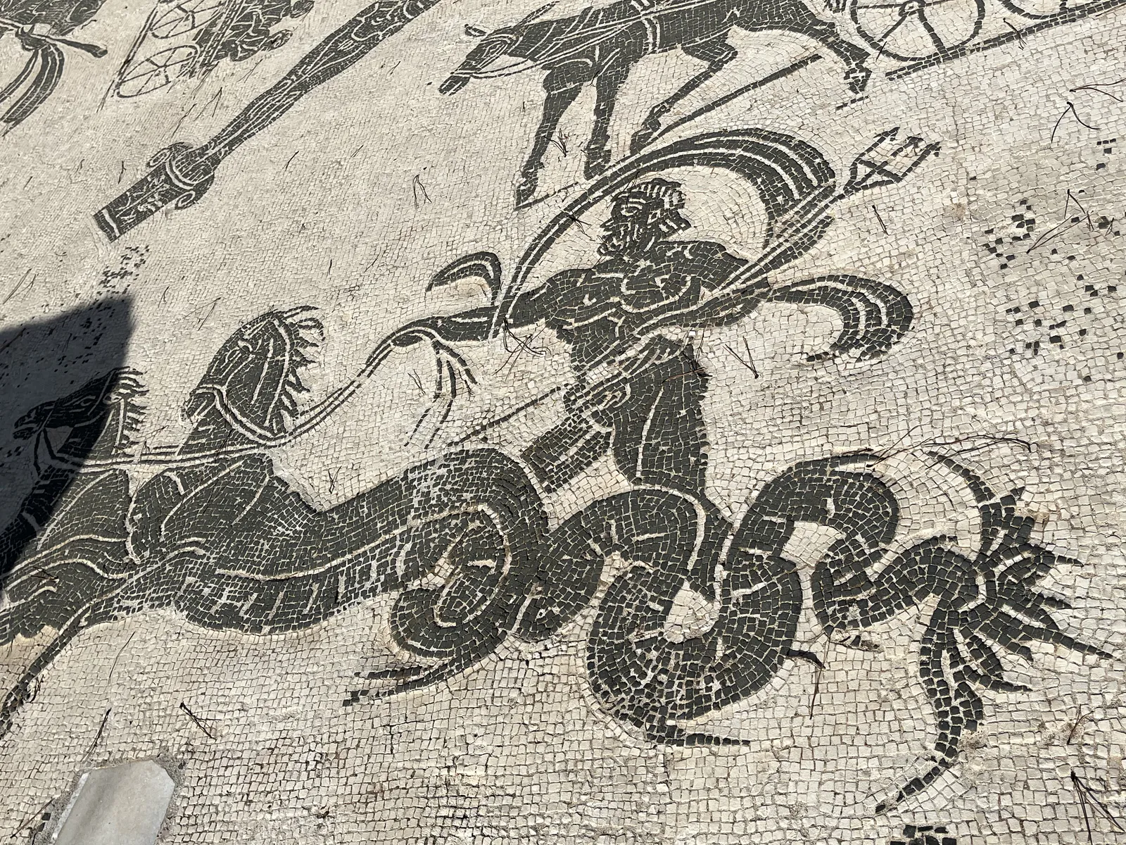 Neptune sur un char marin