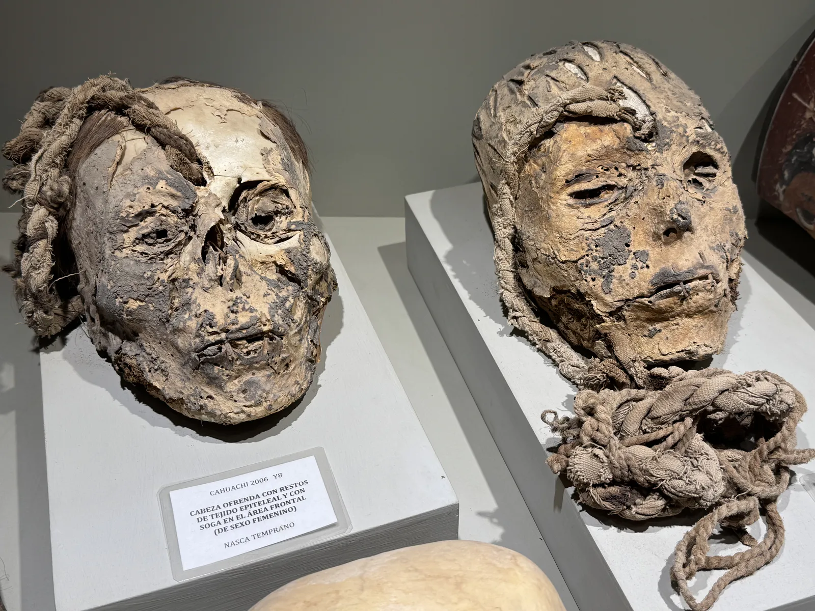 纳斯卡祭品之首级