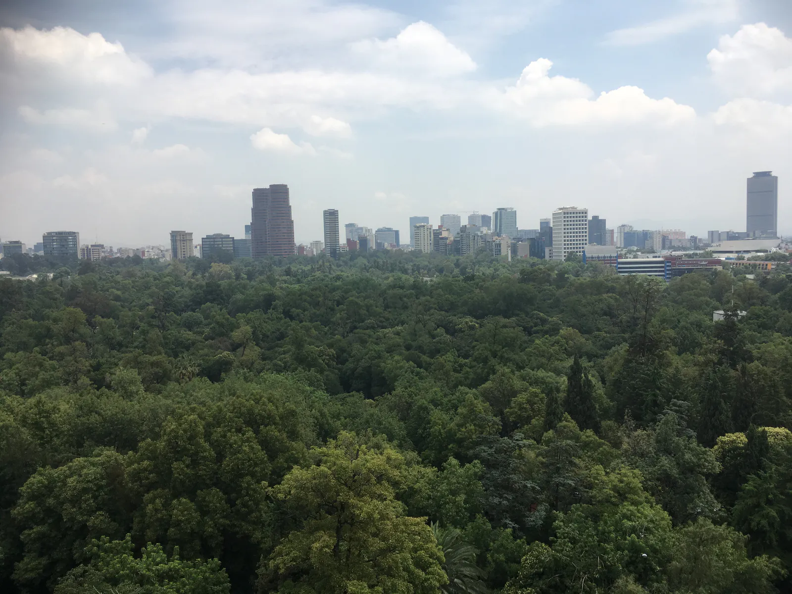 Chapultepec Park and the City Beyond