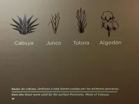 Ancient Peruvian Textile Fibers