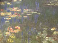 Water Lilies