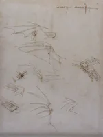 翼与机械解剖研究