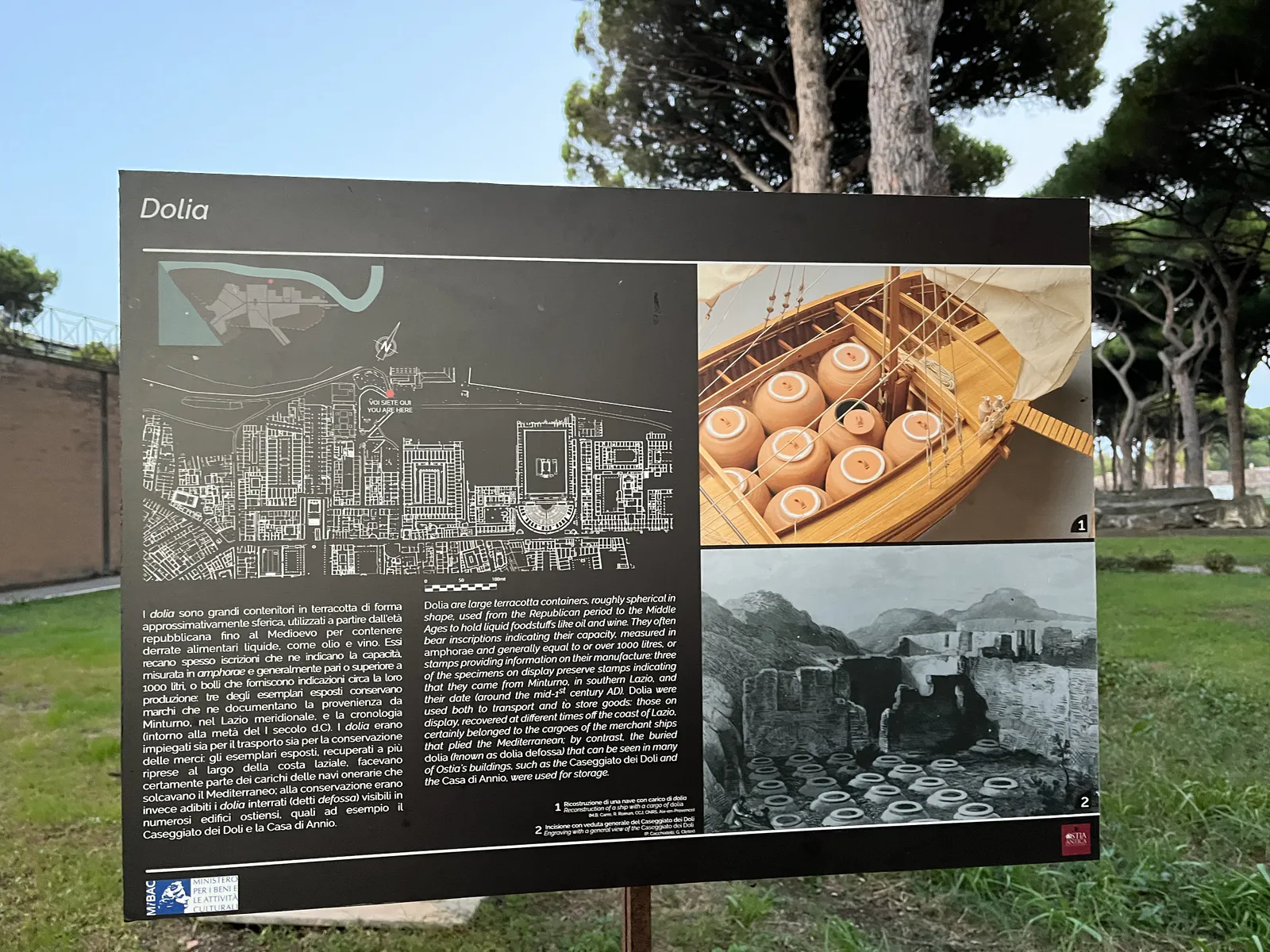 إعادة بناء طريقة نقل الدوليا