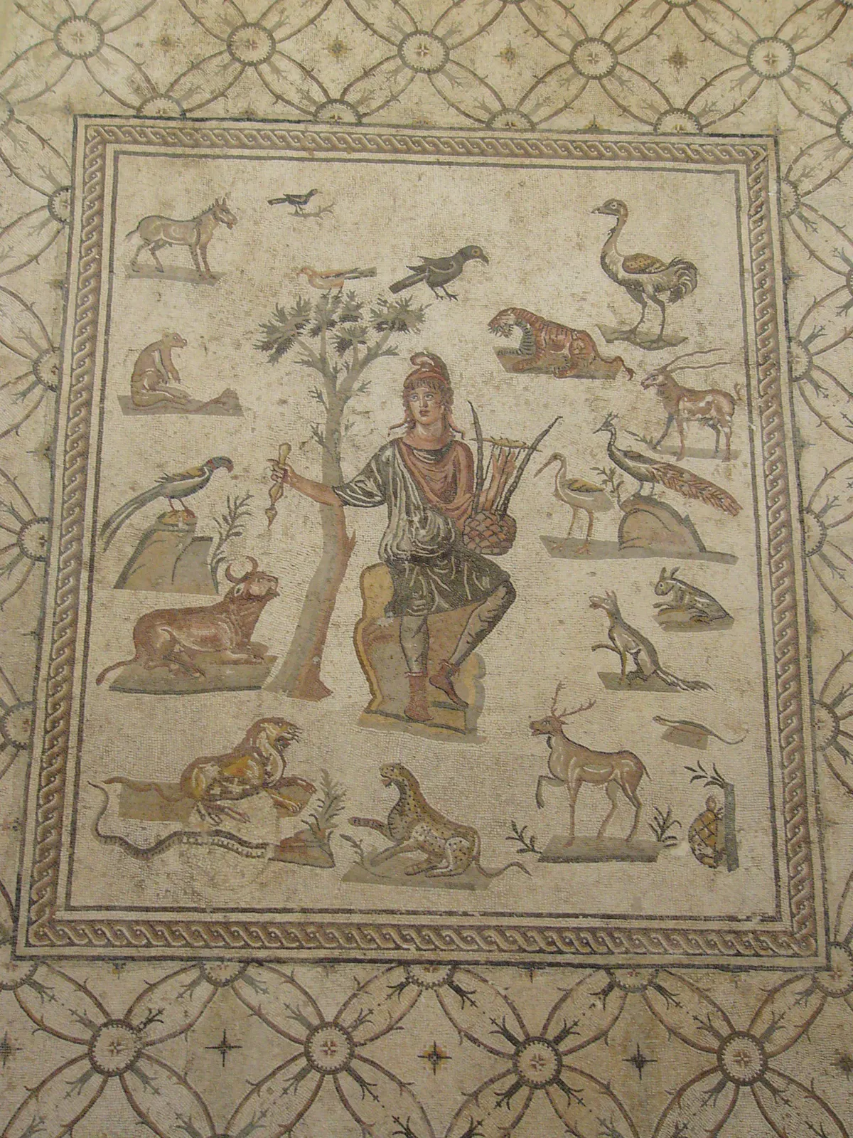Piazza della Vittoria Mosaic