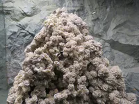 Selenite Desert Rose