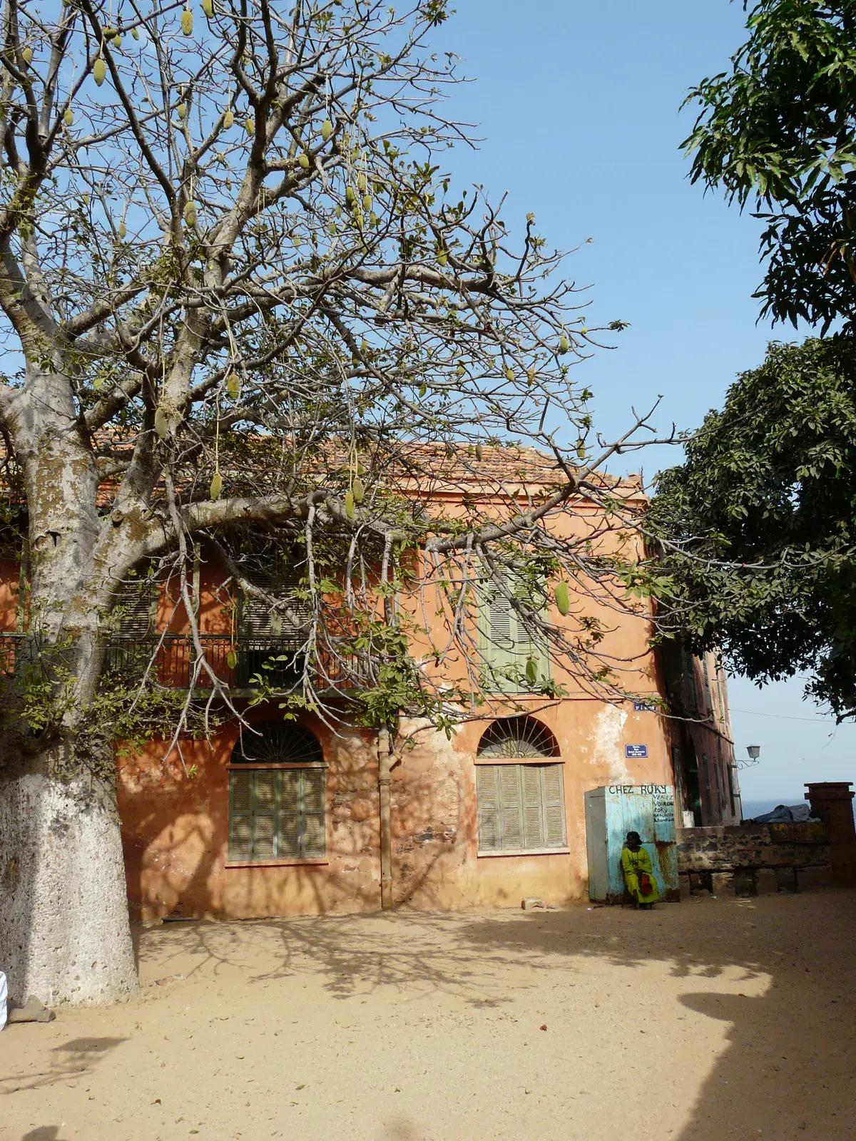 Baobab Tree and Colonial House