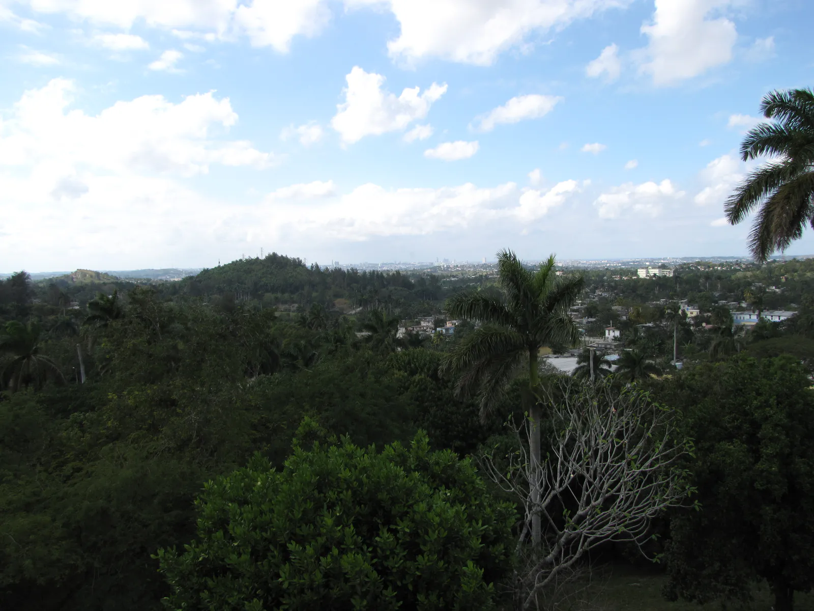 View from the Tower at Finca Vigía