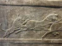 Lion Attacks the Chariot Team