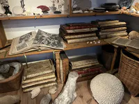 Rembrandt’s Cabinet of Curiosities