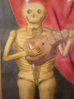 Skeleton with Guitar