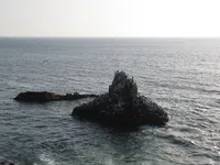 Seabird Sanctuary off Dakar