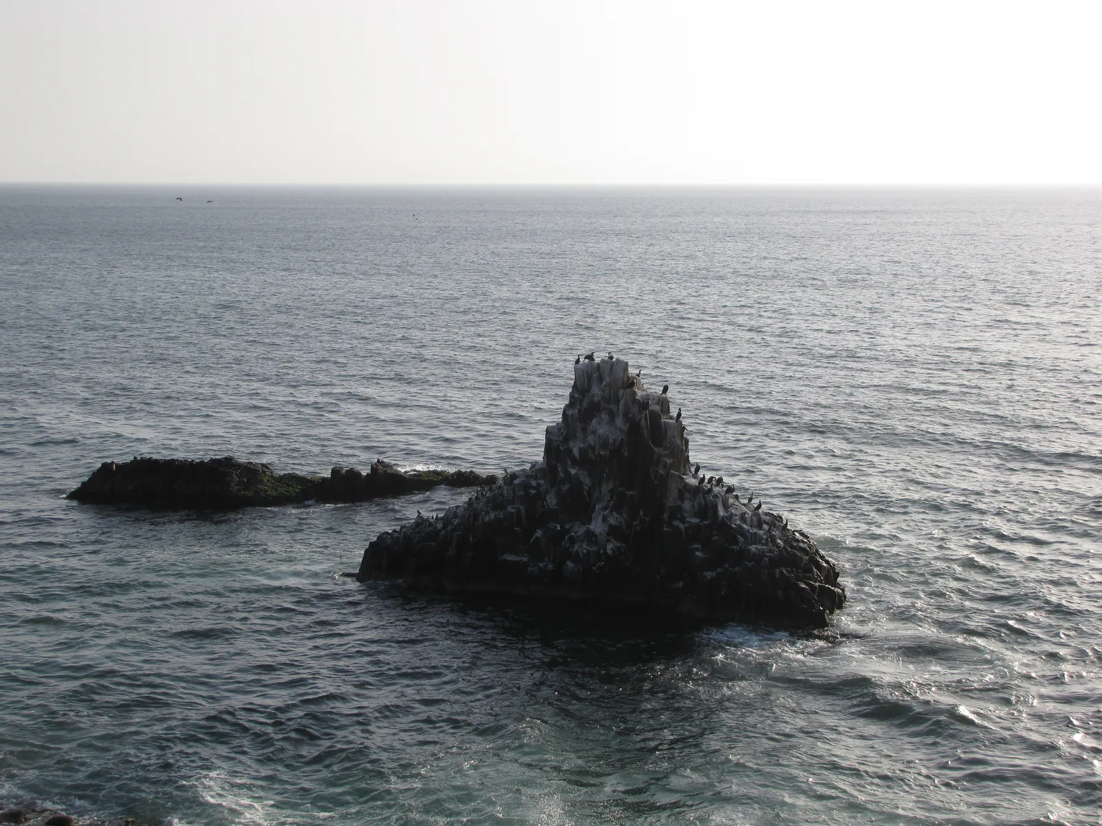 Seabird Sanctuary off Dakar