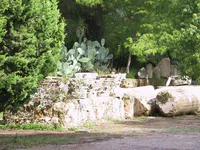 Corinthian Capitals and Fluted Column
