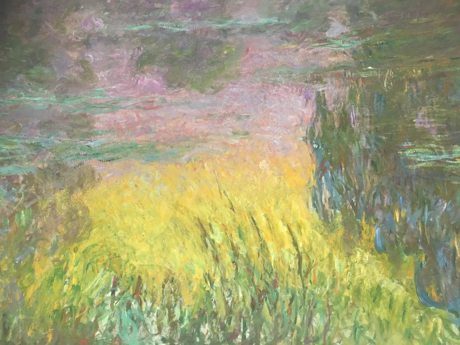 Water Lilies, Setting Sun