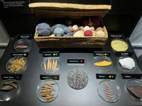 Fuentes tradicionales de tintes y técnicas de teñido