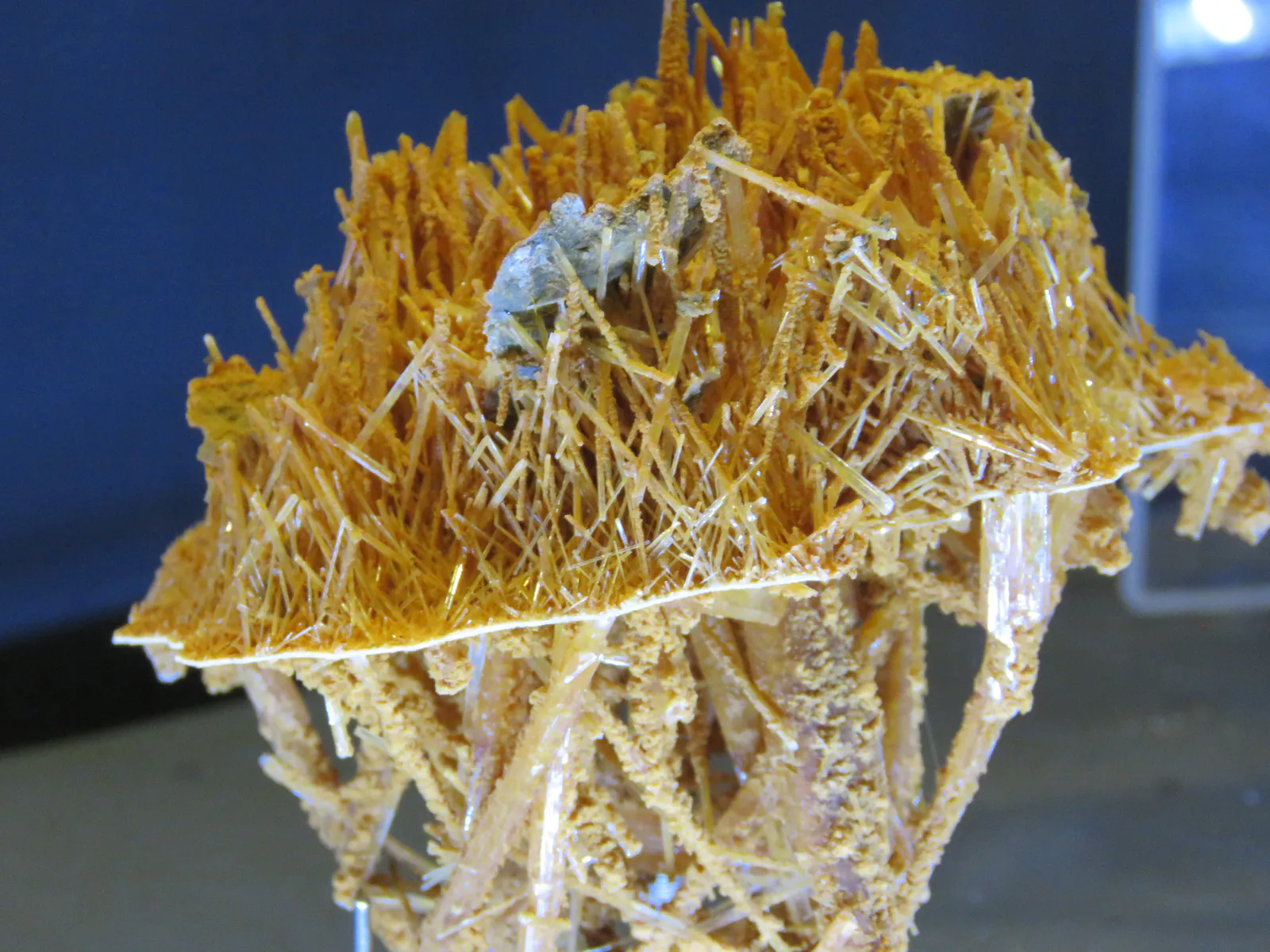 Uses and Properties of Gypsum