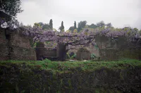 Palatine Garden Ruins with Wisteria