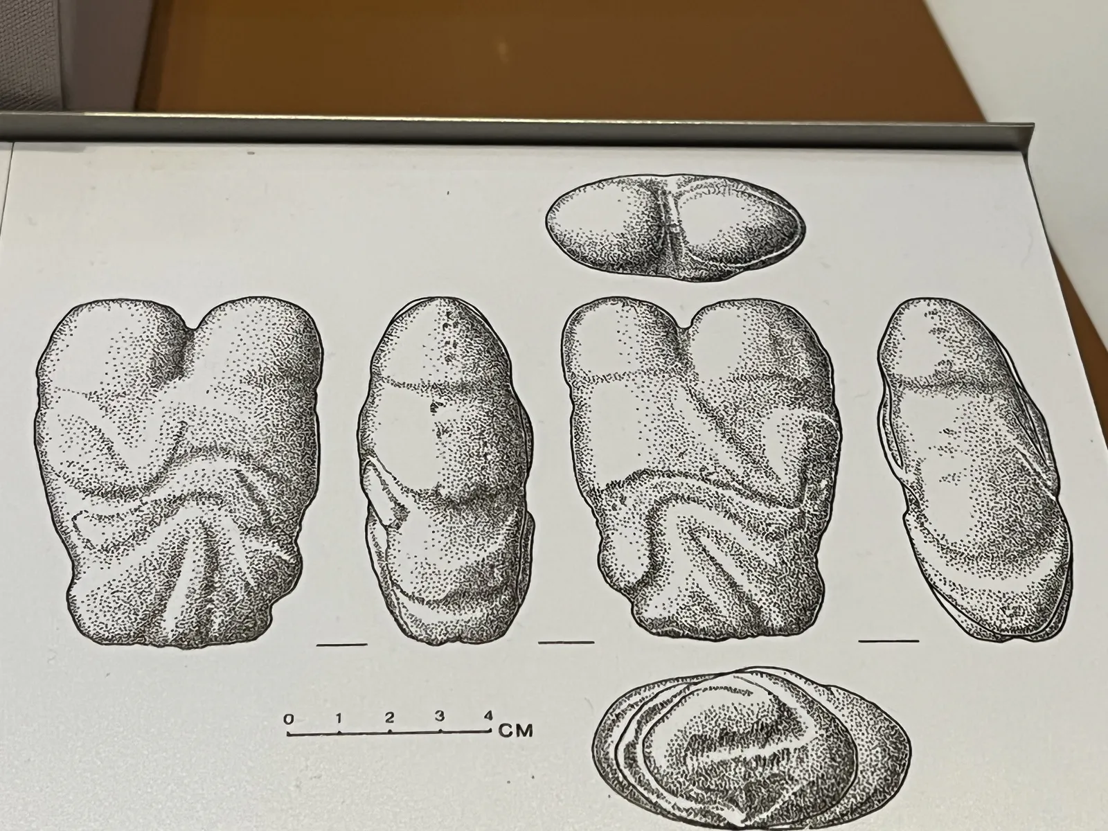 Vues de la figurine des amants d’Ain Sakhri