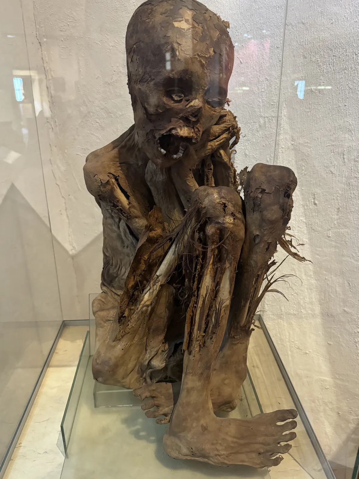 Доколумбовая мумия в позе эмбриона