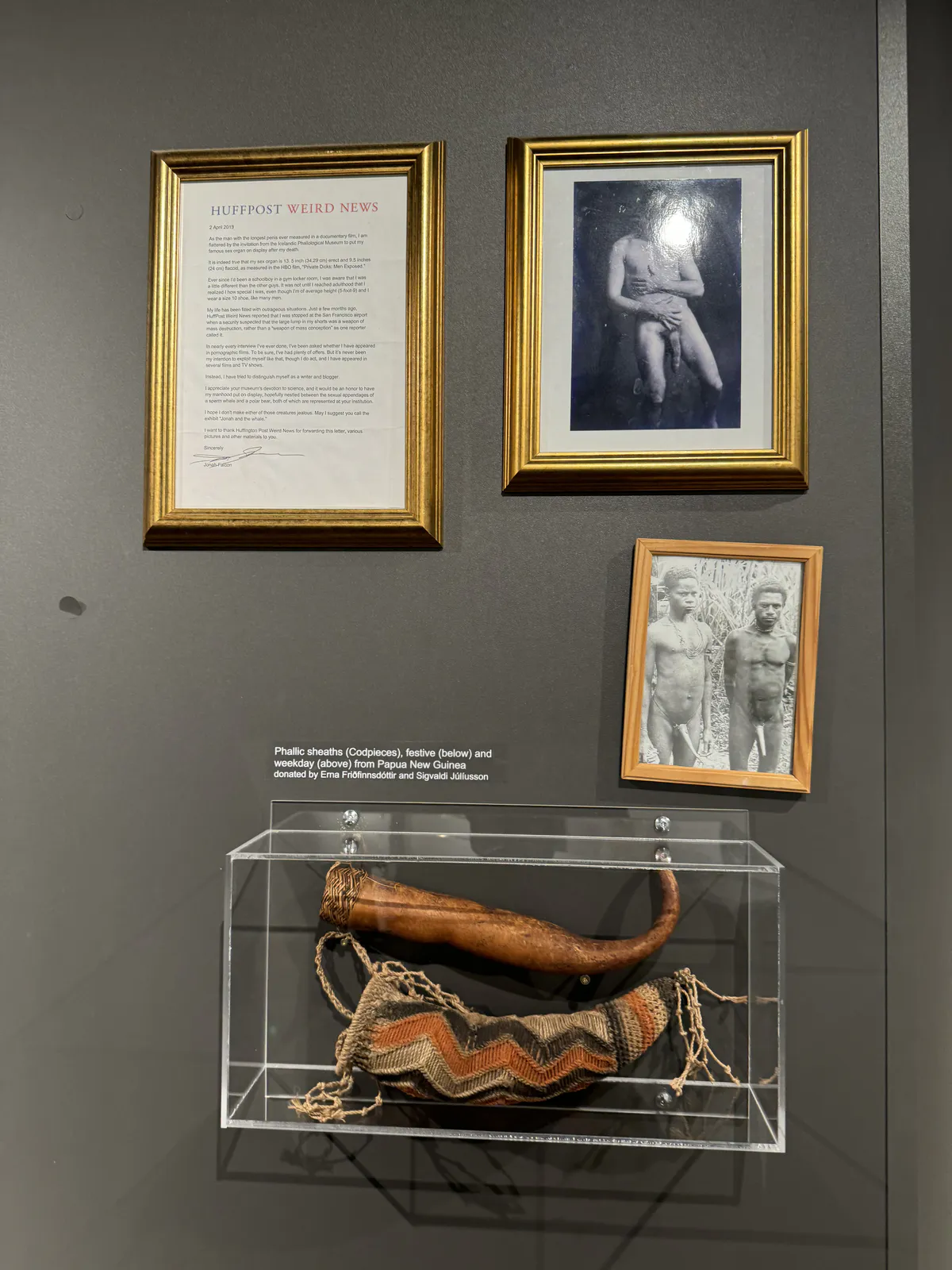 Penis Sheaths from Papua New Guinea
