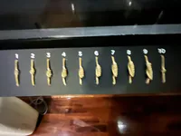 كيبو إمبراطورية الإنكا