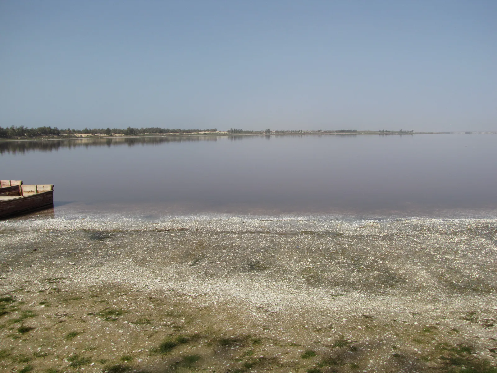 المياه الوردية لبحيرة روز