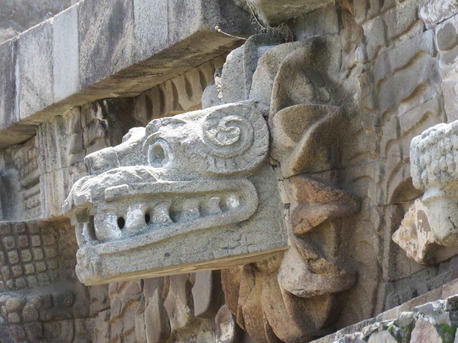 Serpent à plumes à la vision en spirale