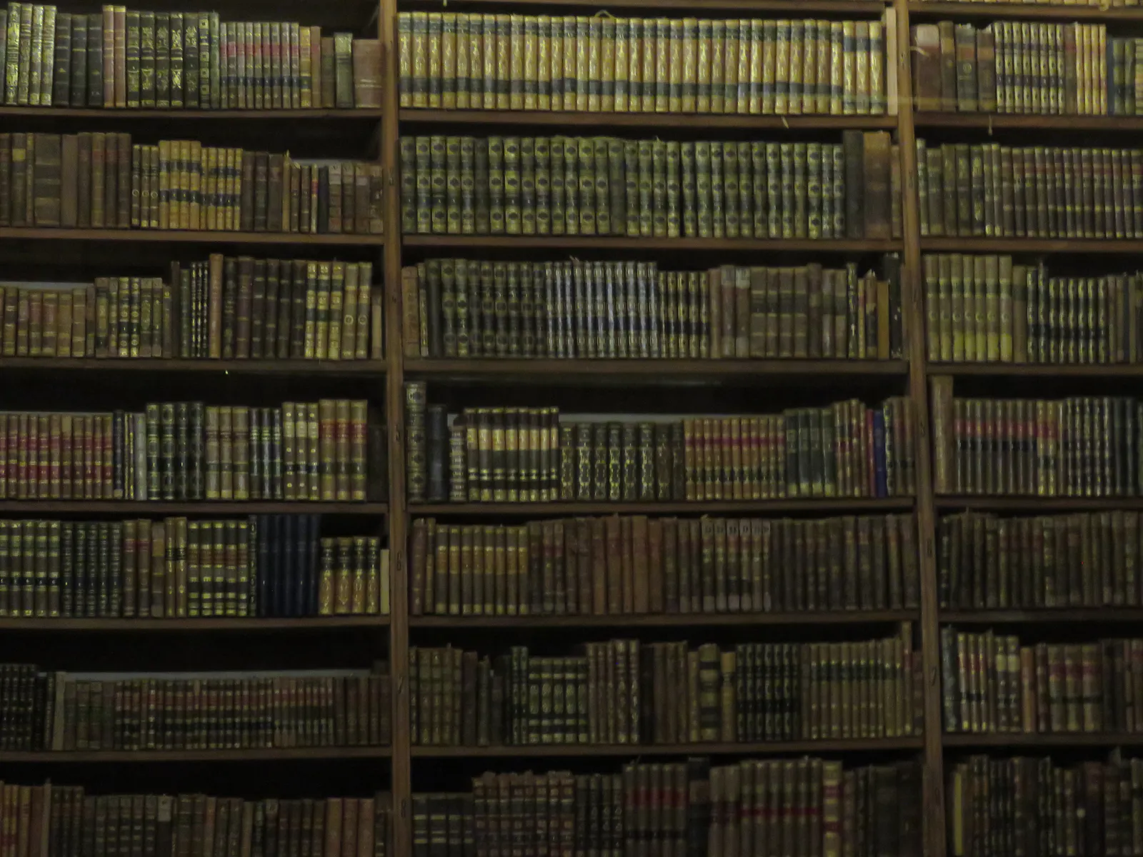 Monastic Library of Guadalupe
