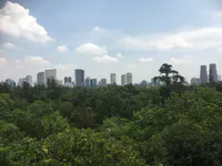 Ligne d’horizon au-dessus de la forêt de Chapultepec