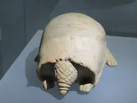 Tumaco Armadillo Effigy Vessel