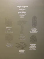 Trees of Life