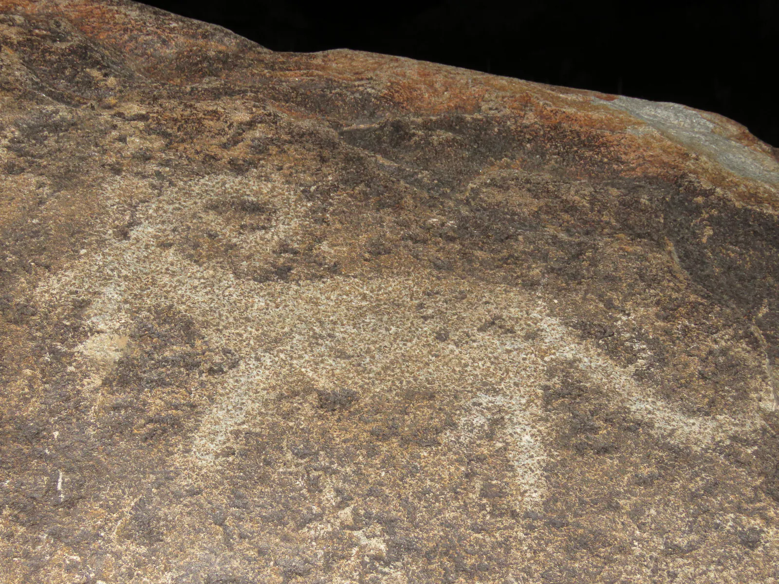 Ibex Petroglyph