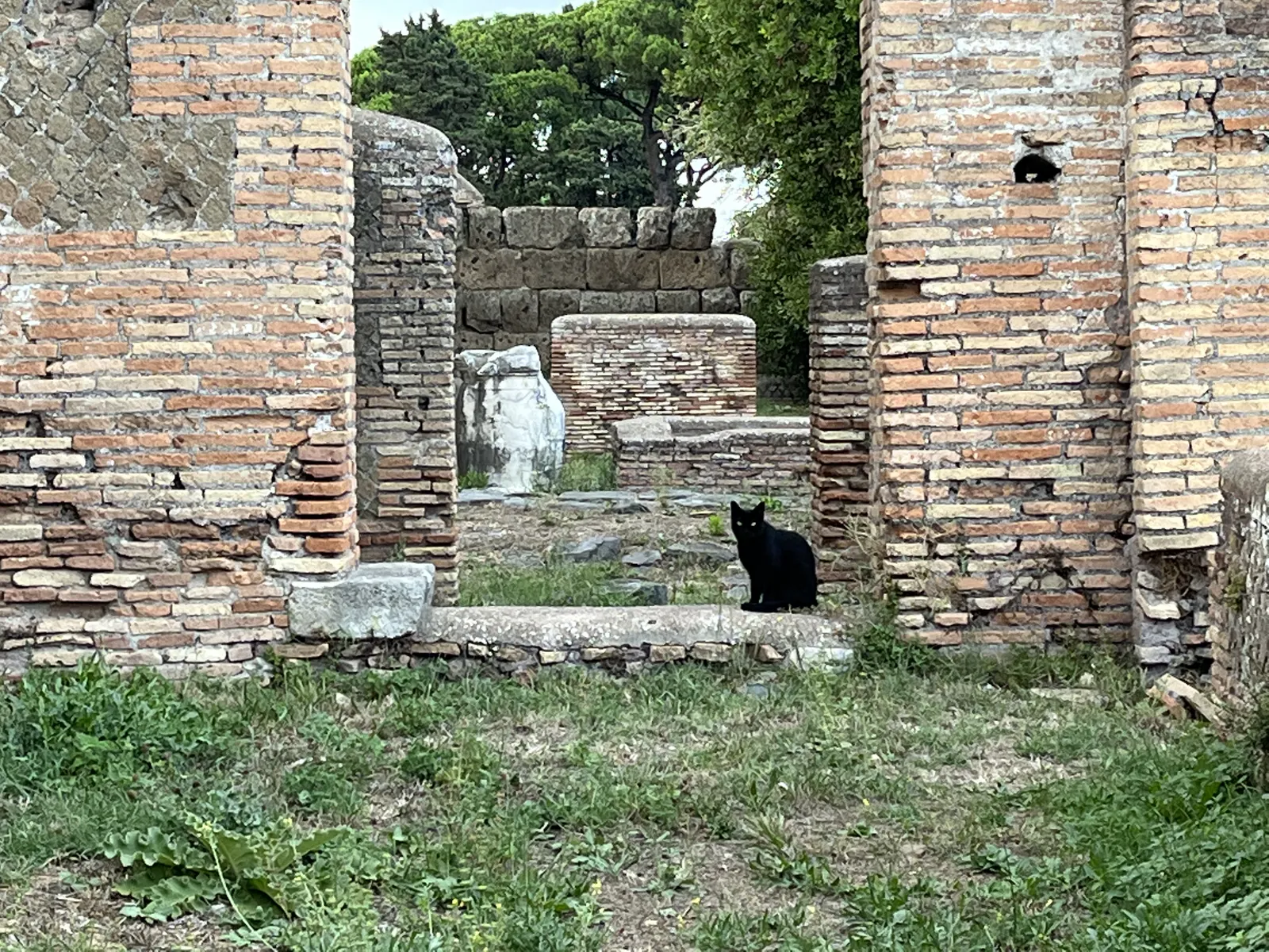 Ruines avec fragment de statue et chat
