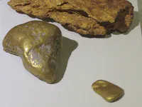 Gold Nuggets from the Sierpe River