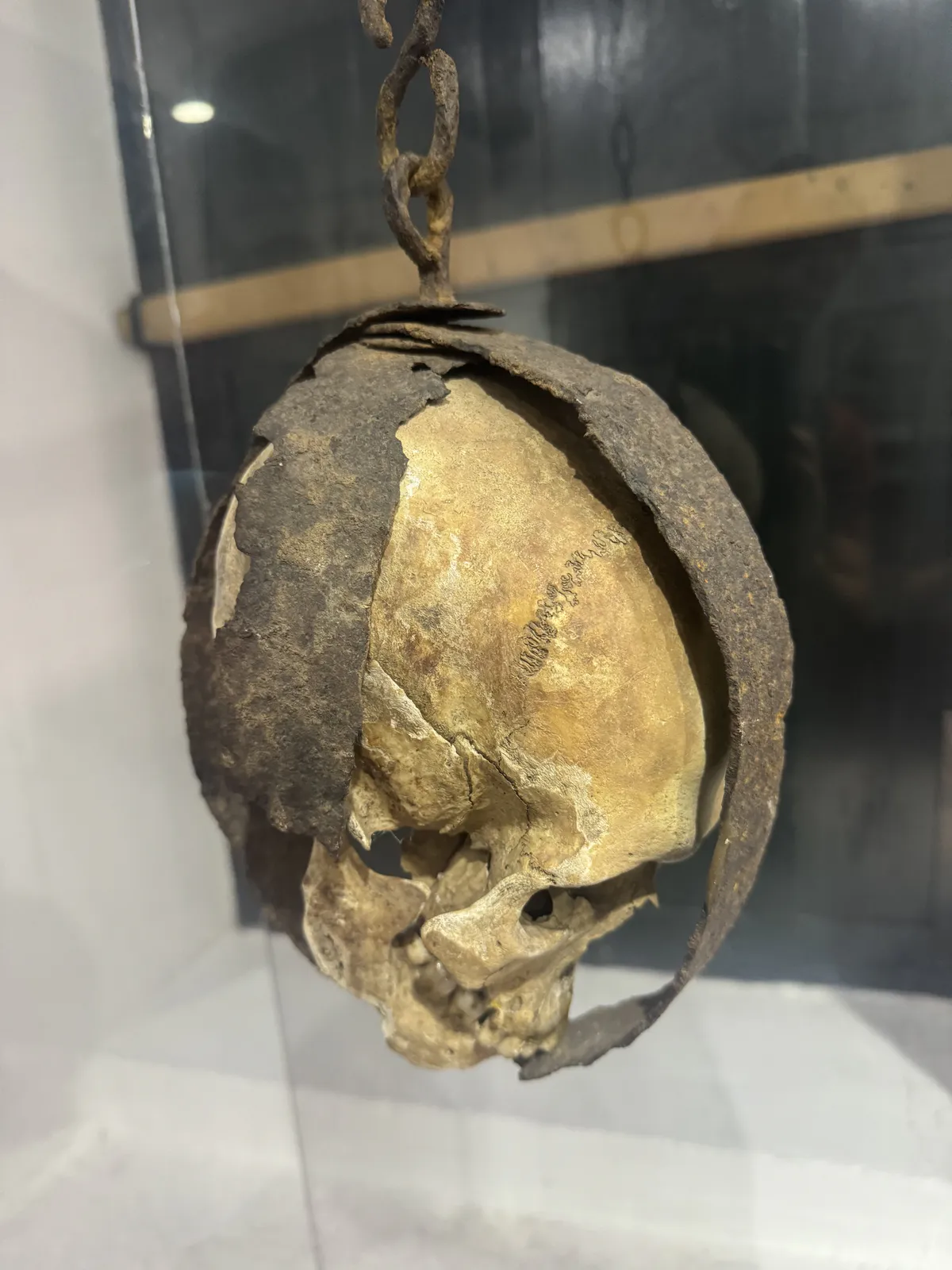 Schädel in eiserner Käfigausstellung