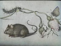 Mouse, Rose, and Butterfly