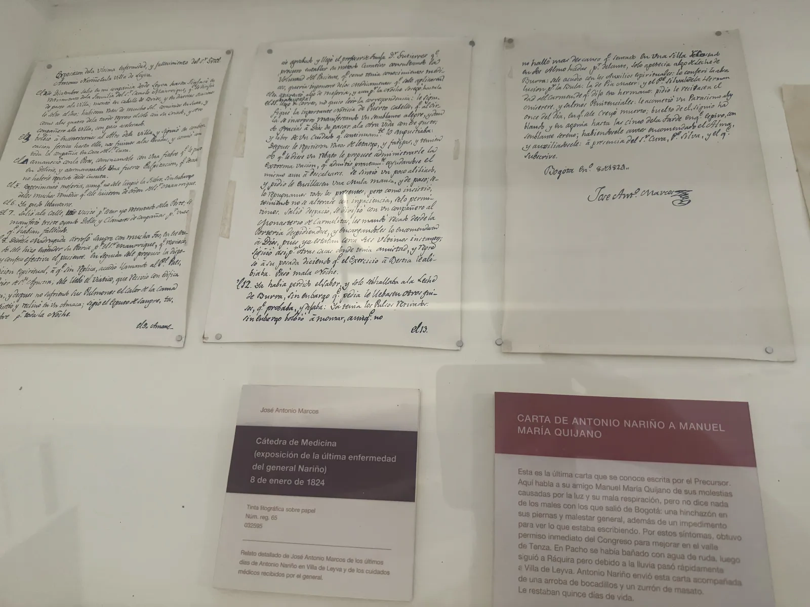 安东尼奥·纳里尼奥的最后时日