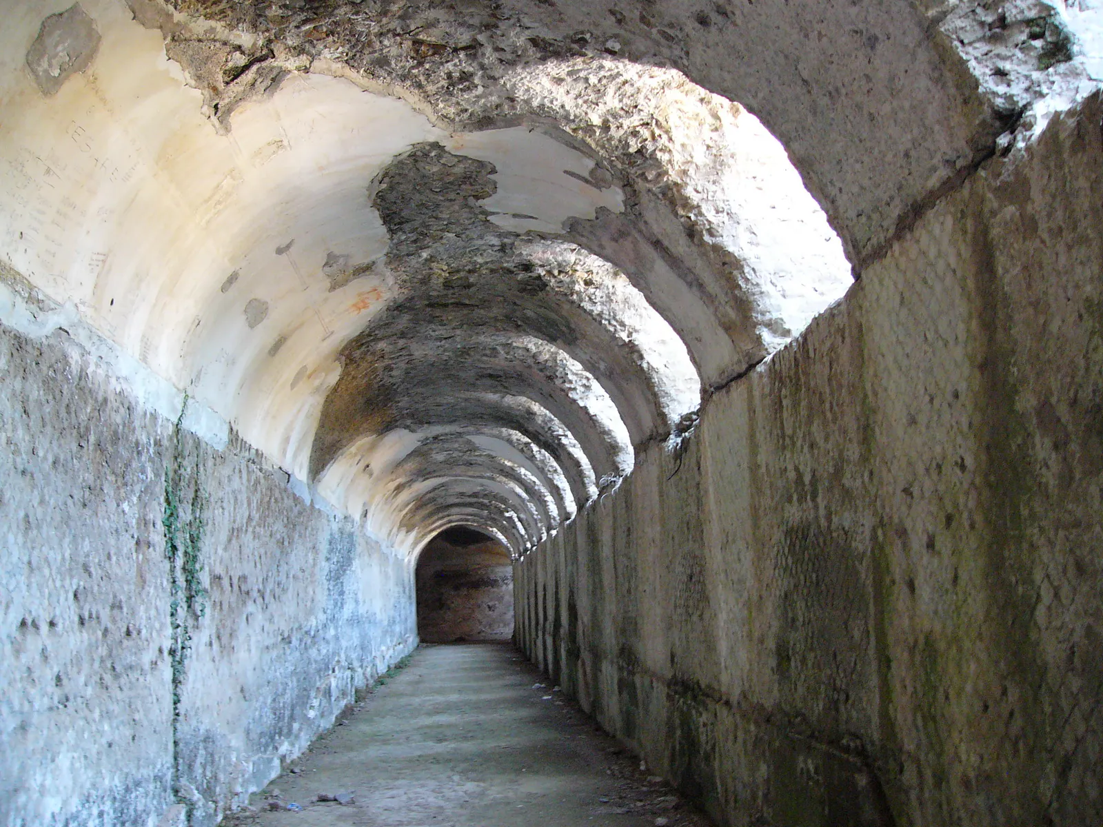 Cryptoporticus with Skylights