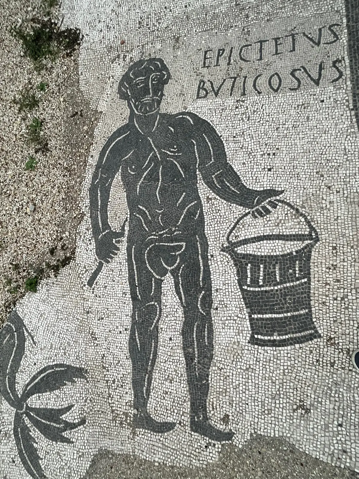 手持沐浴工具的埃皮克忒图斯·布蒂科苏斯