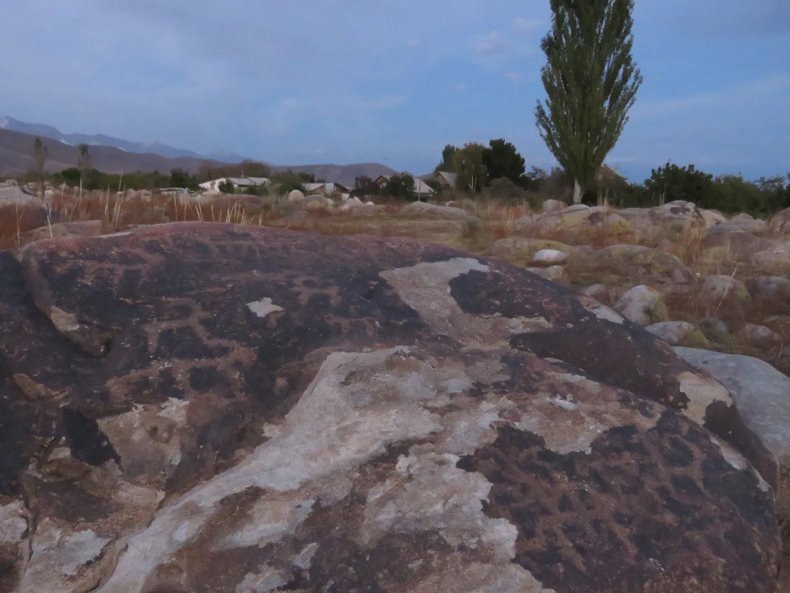 Hunting Scene Petroglyph