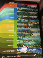 Museo de Historia Natural