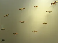 Avian Pendants in Flight