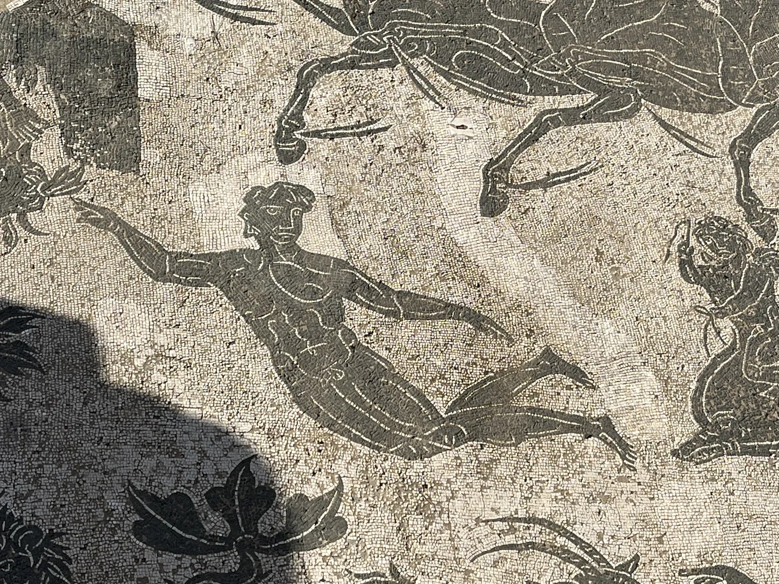 Male Swimmer in Poseidon’s Retinue