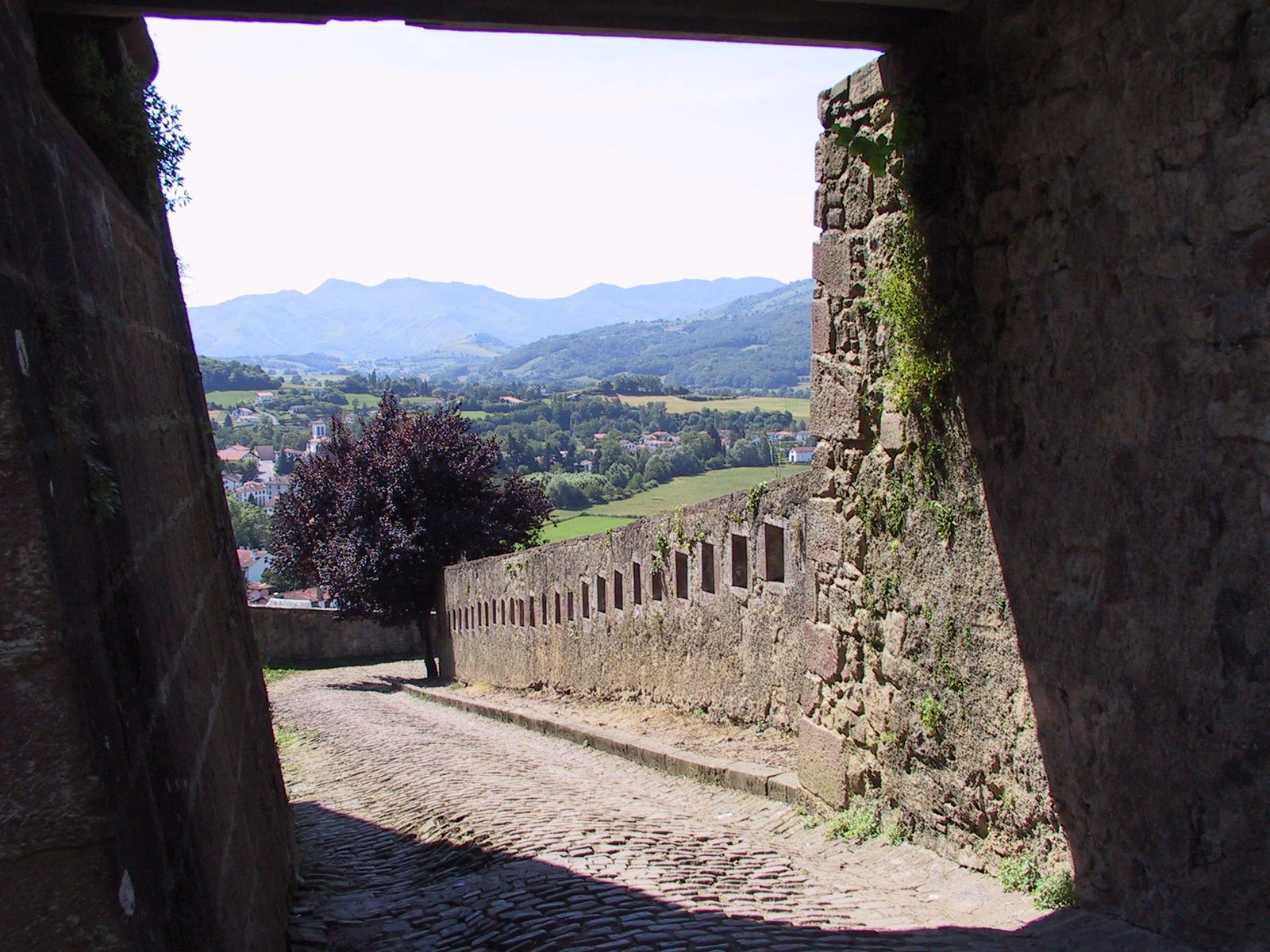 Путь к цитадели