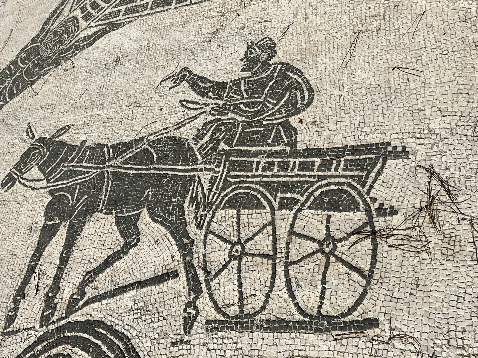 Mule Cart Driver Mosaic