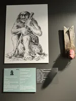 Troll Penis