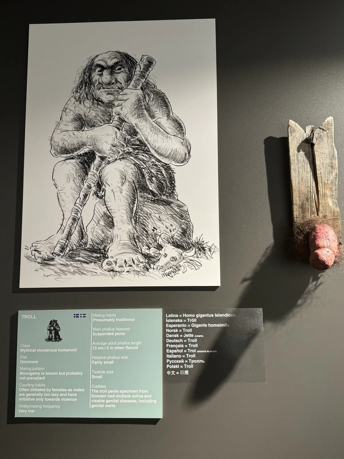 Troll Penis
