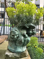 The Basin